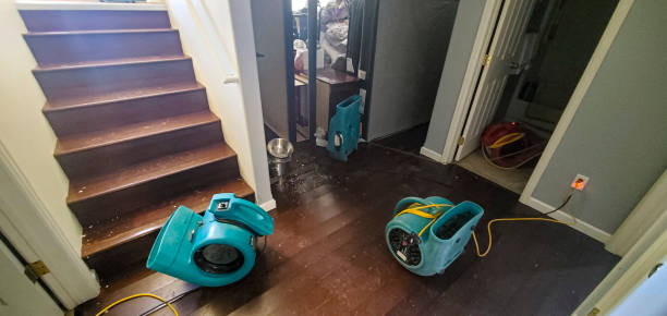  Decatur, TX Water damage restoration Pros